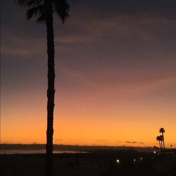 Meet your Posher, Bailey - Picture 1 of 1